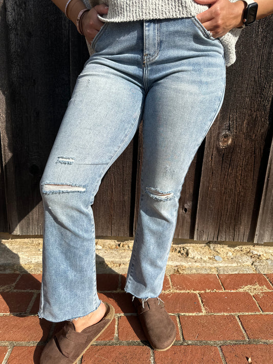 Alexis Vintage High Rise Light Wash Jeans | +Plus Available