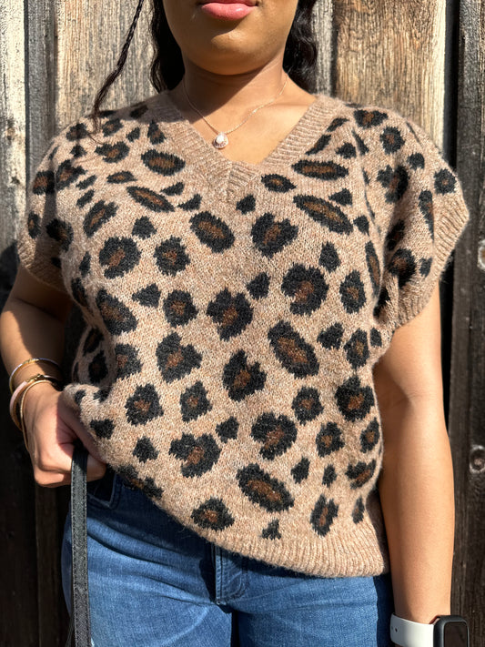 Into The Wild V Neck Sweater Top | Leopard